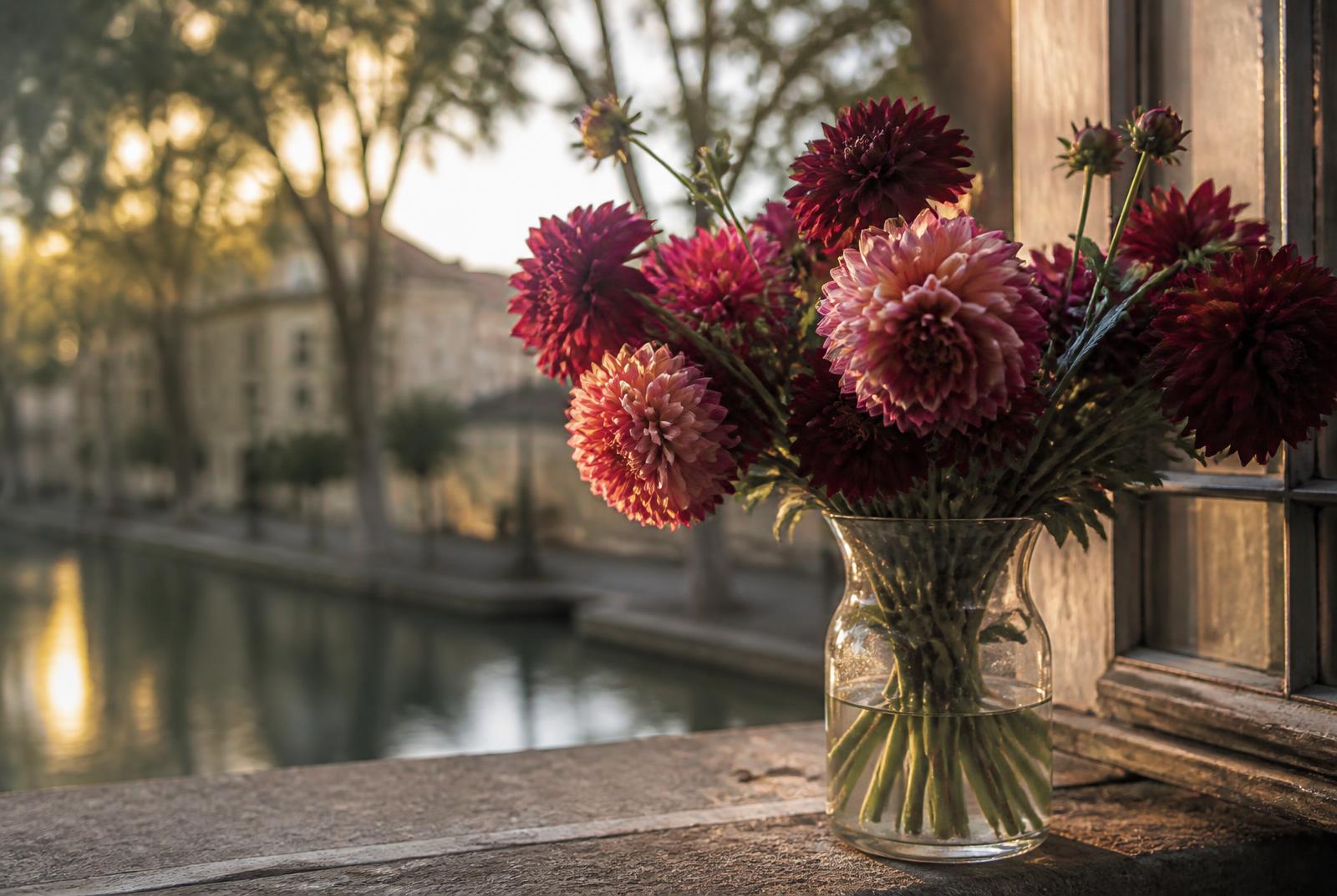 Dahlias dans une carafe sur l'appui de fenêtre, canal en arrière-plan